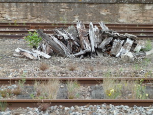 Over voetafdruk gesproken (Foto: Ad Lansink)